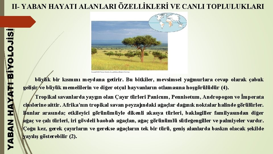 YABAN HAYATI BİYOLOJİSİ II- YABAN HAYATI ALANLARI ÖZELLİKLERİ VE CANLI TOPLULUKLARI büyük bir kısmını