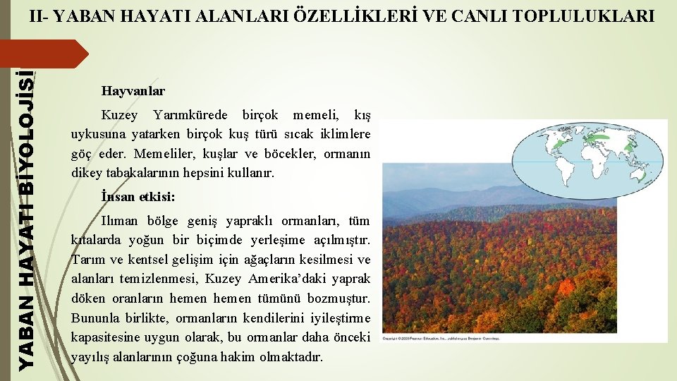 YABAN HAYATI BİYOLOJİSİ II- YABAN HAYATI ALANLARI ÖZELLİKLERİ VE CANLI TOPLULUKLARI Hayvanlar Kuzey Yarımkürede