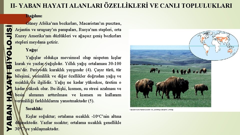 II- YABAN HAYATI ALANLARI ÖZELLİKLERİ VE CANLI TOPLULUKLARI YABAN HAYATI BİYOLOJİSİ Dağılım: Güney Afrika’nın