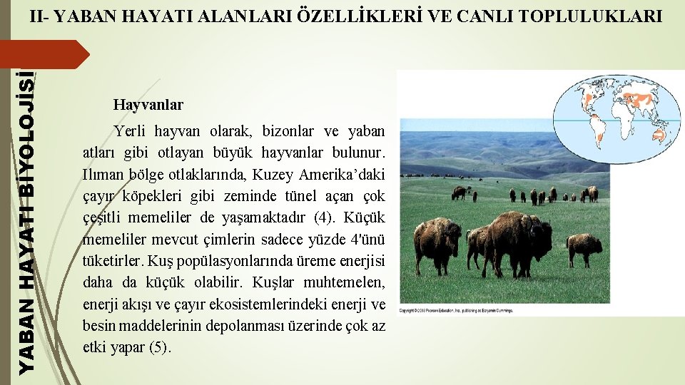 YABAN HAYATI BİYOLOJİSİ II- YABAN HAYATI ALANLARI ÖZELLİKLERİ VE CANLI TOPLULUKLARI Hayvanlar Yerli hayvan