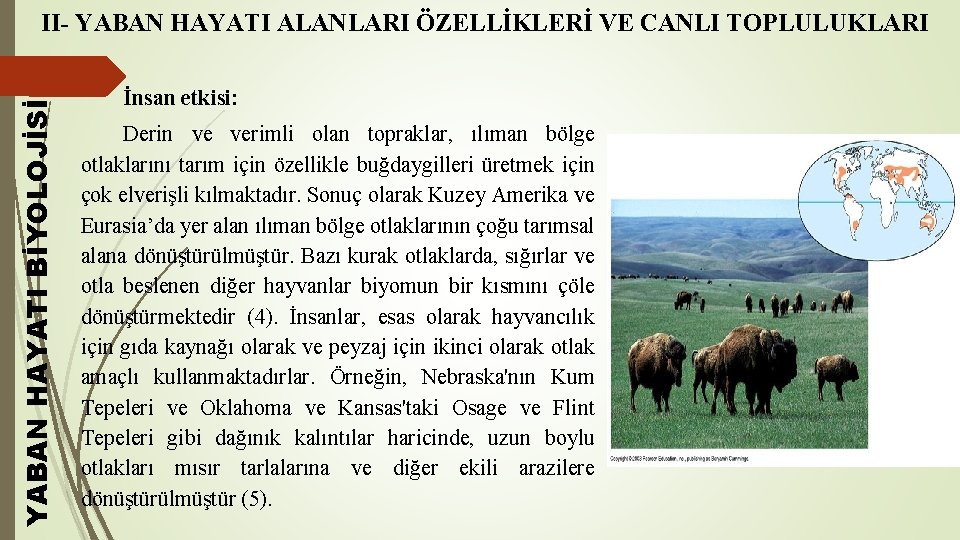 YABAN HAYATI BİYOLOJİSİ II- YABAN HAYATI ALANLARI ÖZELLİKLERİ VE CANLI TOPLULUKLARI İnsan etkisi: Derin