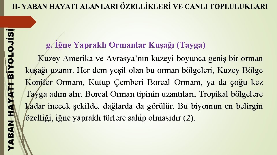 YABAN HAYATI BİYOLOJİSİ II- YABAN HAYATI ALANLARI ÖZELLİKLERİ VE CANLI TOPLULUKLARI g. İğne Yapraklı