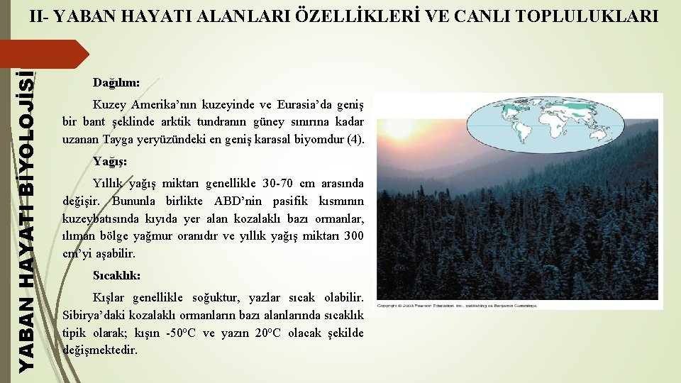 YABAN HAYATI BİYOLOJİSİ II- YABAN HAYATI ALANLARI ÖZELLİKLERİ VE CANLI TOPLULUKLARI Dağılım: Kuzey Amerika’nın
