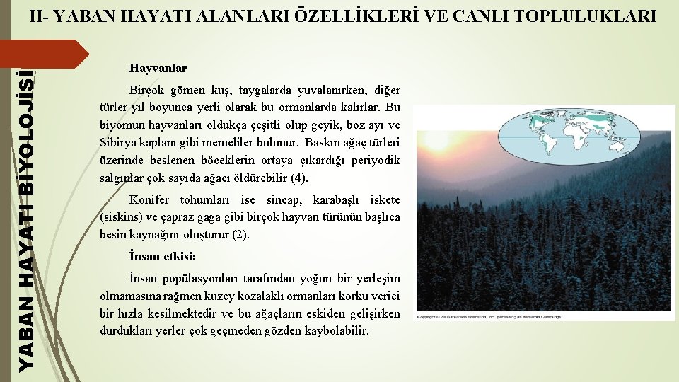 YABAN HAYATI BİYOLOJİSİ II- YABAN HAYATI ALANLARI ÖZELLİKLERİ VE CANLI TOPLULUKLARI Hayvanlar Birçok gömen