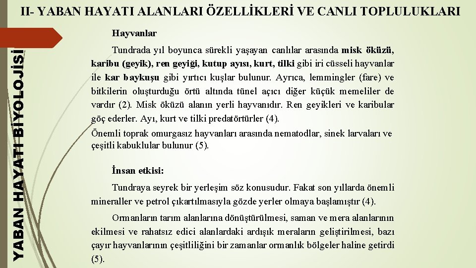 II- YABAN HAYATI ALANLARI ÖZELLİKLERİ VE CANLI TOPLULUKLARI YABAN HAYATI BİYOLOJİSİ Hayvanlar Tundrada yıl