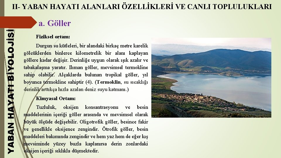 II- YABAN HAYATI ALANLARI ÖZELLİKLERİ VE CANLI TOPLULUKLARI YABAN HAYATI BİYOLOJİSİ a. Göller Fiziksel