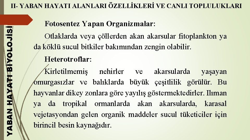 YABAN HAYATI BİYOLOJİSİ II- YABAN HAYATI ALANLARI ÖZELLİKLERİ VE CANLI TOPLULUKLARI Fotosentez Yapan Organizmalar: