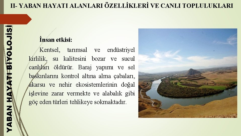 YABAN HAYATI BİYOLOJİSİ II- YABAN HAYATI ALANLARI ÖZELLİKLERİ VE CANLI TOPLULUKLARI İnsan etkisi: Kentsel,