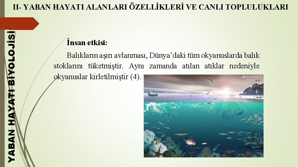 YABAN HAYATI BİYOLOJİSİ II- YABAN HAYATI ALANLARI ÖZELLİKLERİ VE CANLI TOPLULUKLARI İnsan etkisi: Balıkların