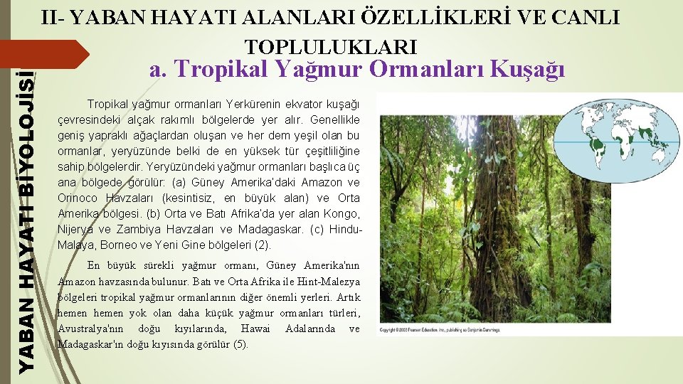 YABAN HAYATI BİYOLOJİSİ II- YABAN HAYATI ALANLARI ÖZELLİKLERİ VE CANLI TOPLULUKLARI a. Tropikal Yağmur