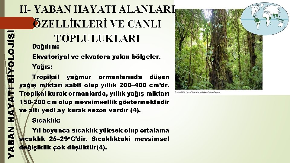 YABAN HAYATI BİYOLOJİSİ II- YABAN HAYATI ALANLARI ÖZELLİKLERİ VE CANLI TOPLULUKLARI Dağılım: Ekvatoriyal ve