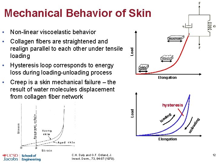 Mechanical Behavior of Skin • Collagen fibers are straightened and realign parallel to each