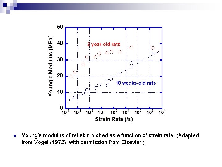 n Young’s modulus of rat skin plotted as a function of strain rate. (Adapted