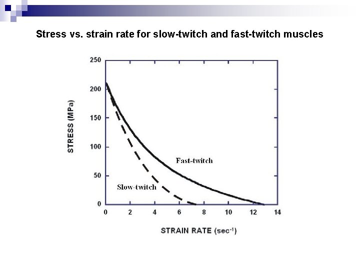 Stress vs. strain rate for slow-twitch and fast-twitch muscles 