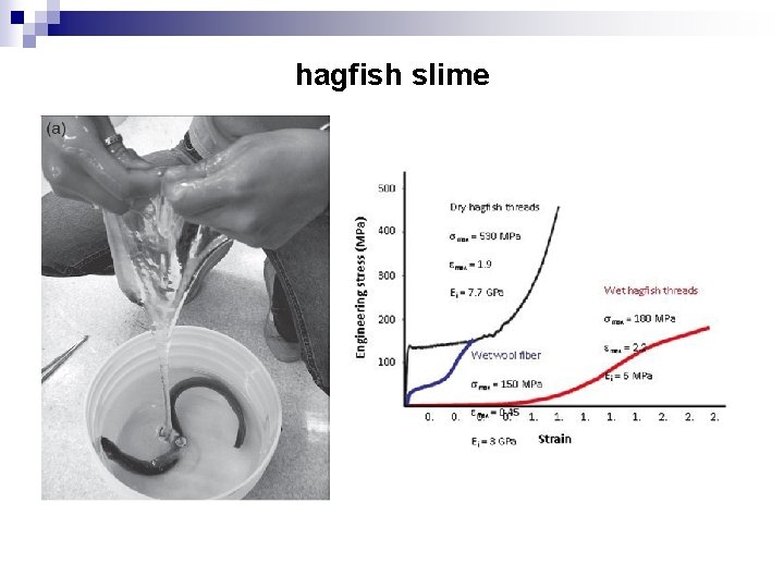 hagfish slime 