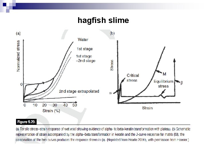 hagfish slime 