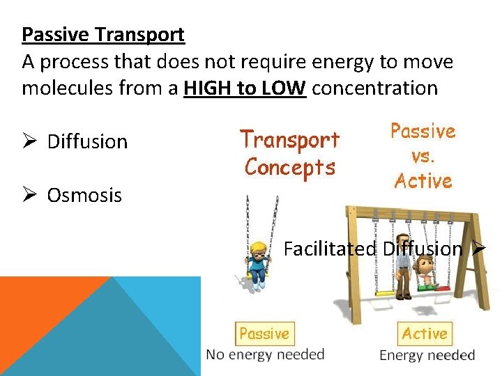 Passive Transport A process that does not require energy to move molecules from a