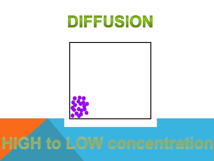 HIGH to LOW concentration 