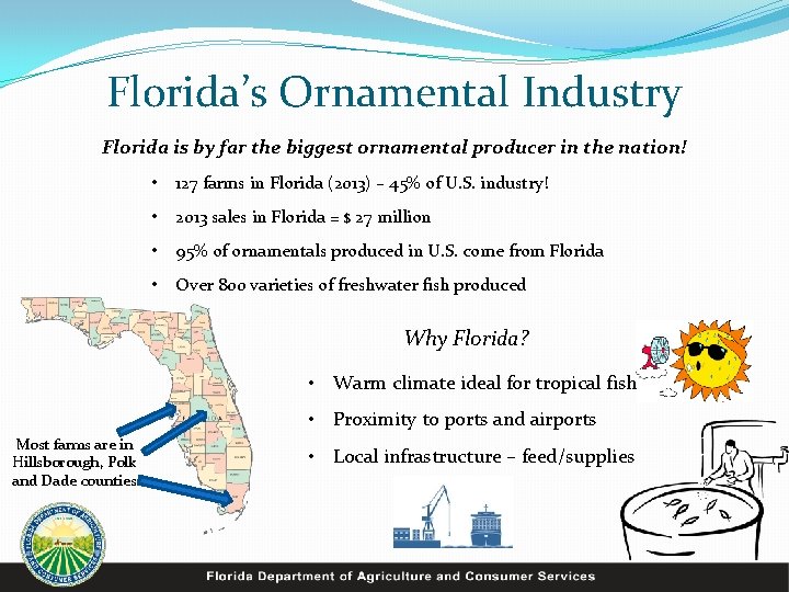 Florida’s Ornamental Industry Florida is by far the biggest ornamental producer in the nation!