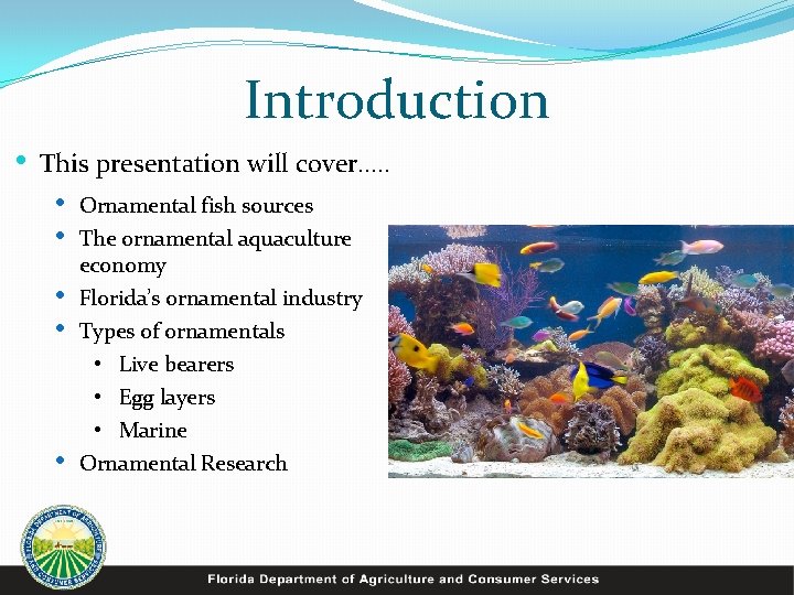 Introduction • This presentation will cover…. . • • • Ornamental fish sources The