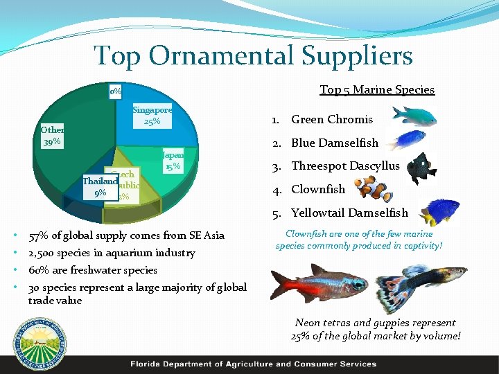 Top Ornamental Suppliers Top 5 Marine Species 0% Other 39% Singapore 25% Czech Thailand
