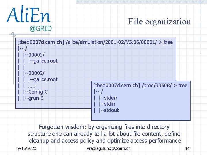 Ali. En @GRID File organization [tbed 0007 d. cern. ch] /alice/simulation/2001 -02/V 3. 06/00001/
