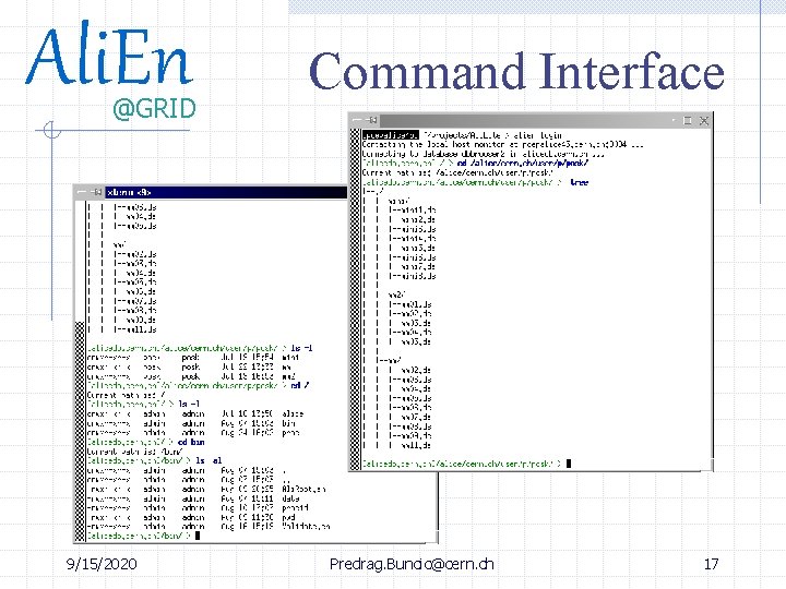 Ali. En @GRID 9/15/2020 Command Interface Predrag. Buncic@cern. ch 17 