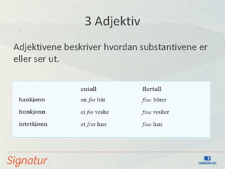 3 Adjektivene beskriver hvordan substantivene er eller ser ut. 