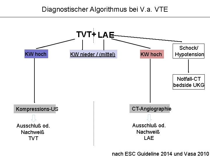Diagnostischer Algorithmus bei V. a. VTE TVT+ LAE KW hoch KW nieder / (mittel)