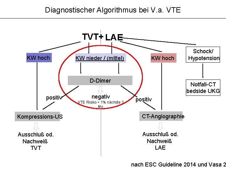 Diagnostischer Algorithmus bei V. a. VTE TVT+ LAE KW hoch KW nieder / (mittel)