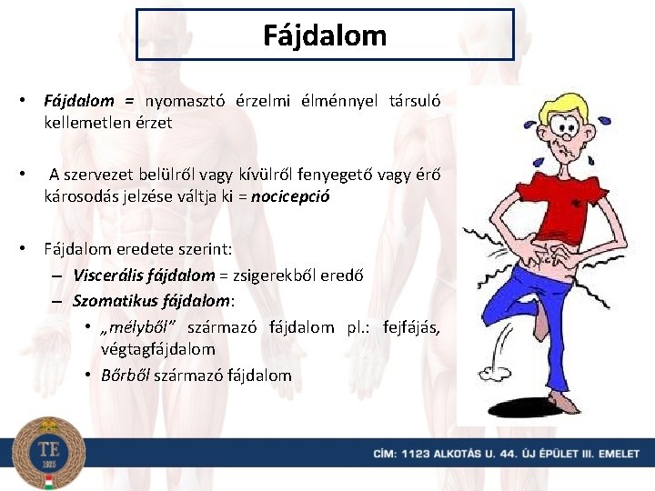 Fájdalom • Fájdalom = nyomasztó érzelmi élménnyel társuló kellemetlen érzet • A szervezet belülről