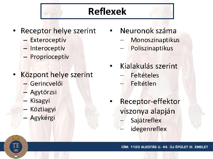 Reflexek • Receptor helye szerint – Exteroceptív – Interoceptív – Proprioceptív • Központ helye