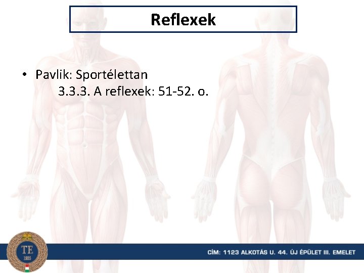 Reflexek • Pavlik: Sportélettan 3. 3. 3. A reflexek: 51 -52. o. 