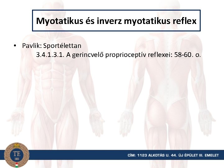 Myotatikus és inverz myotatikus reflex • Pavlik: Sportélettan 3. 4. 1. 3. 1. A