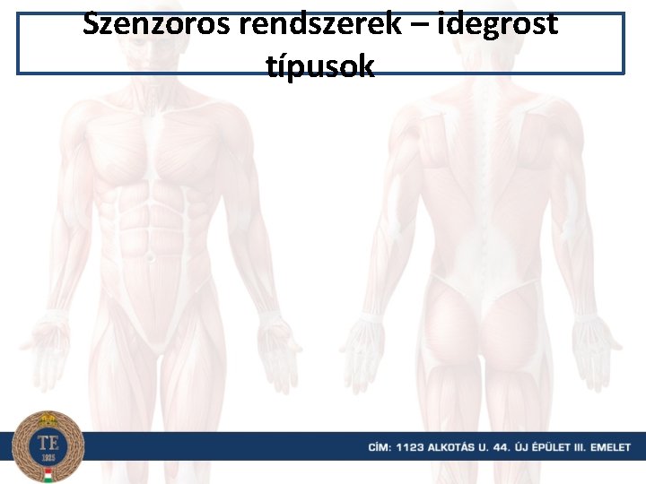 Szenzoros rendszerek – idegrost típusok 