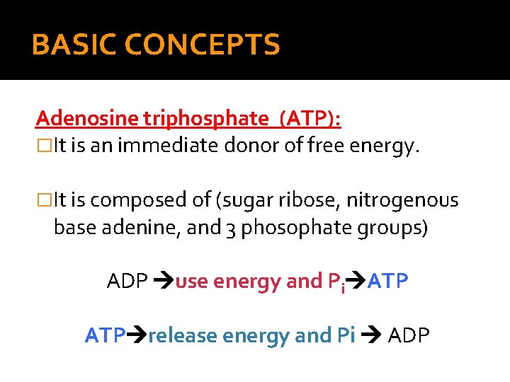 BASIC CONCEPTS Adenosine triphosphate (ATP): �It is an immediate donor of free energy. �It