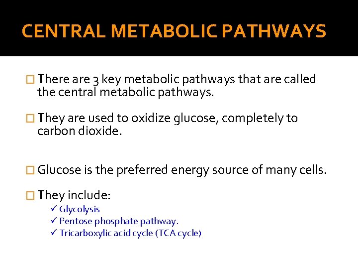 CENTRAL METABOLIC PATHWAYS � There are 3 key metabolic pathways that are called the