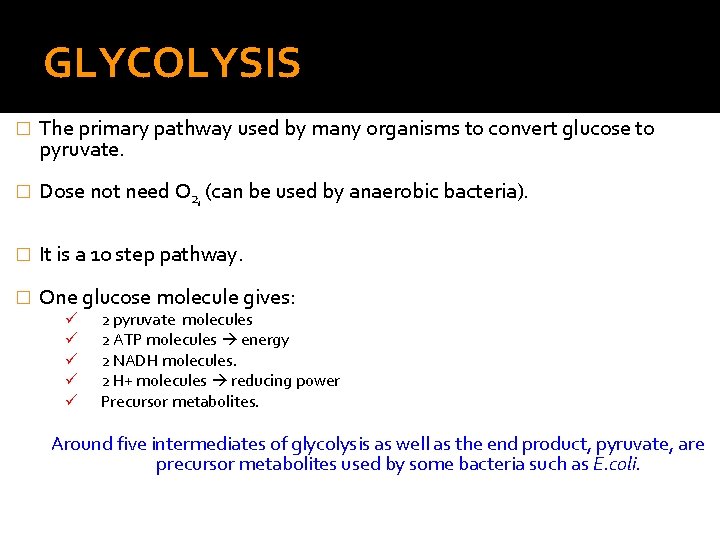 GLYCOLYSIS � The primary pathway used by many organisms to convert glucose to pyruvate.