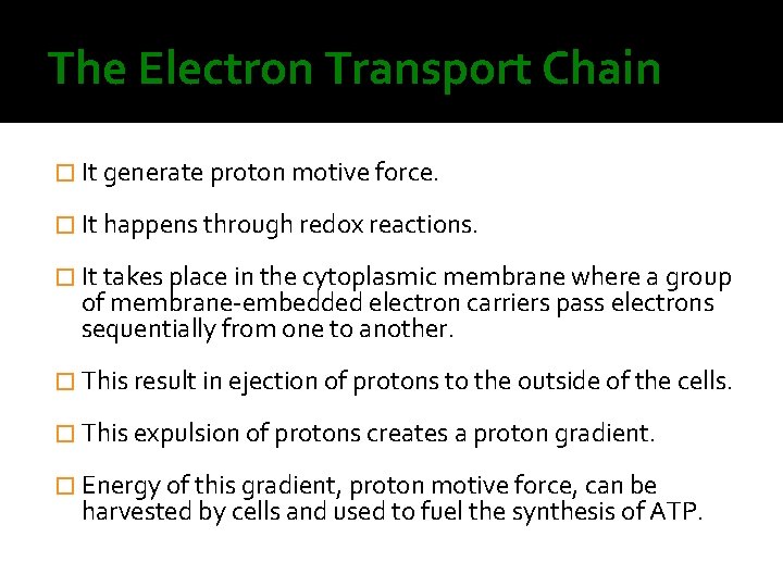 The Electron Transport Chain � It generate proton motive force. � It happens through