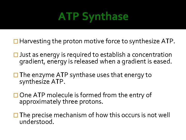 ATP Synthase � Harvesting the proton motive force to synthesize ATP. � Just as