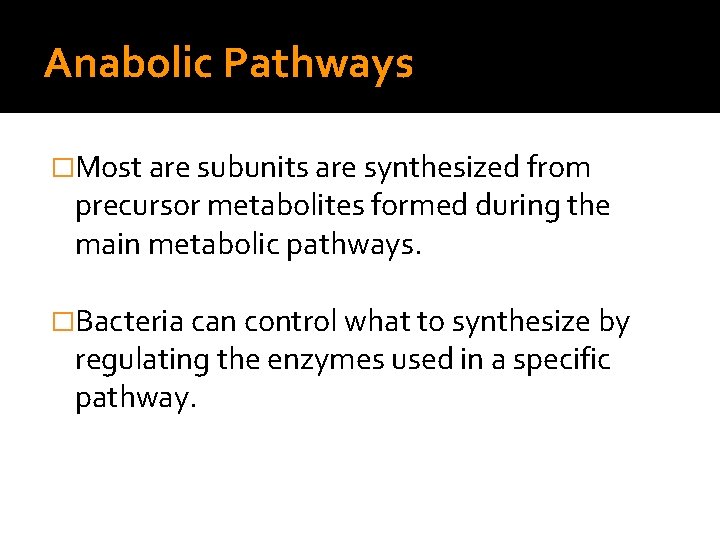 Anabolic Pathways �Most are subunits are synthesized from precursor metabolites formed during the main