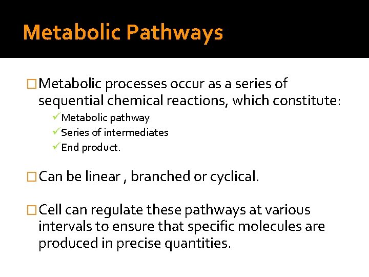 Metabolic Pathways �Metabolic processes occur as a series of sequential chemical reactions, which constitute: