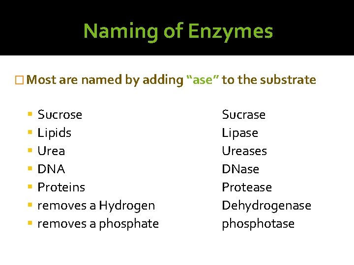 Naming of Enzymes � Most are named by adding “ase” to the substrate Sucrose