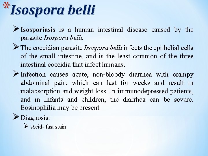 *Isospora belli Ø Isosporiasis is a human intestinal disease caused by the parasite Isospora