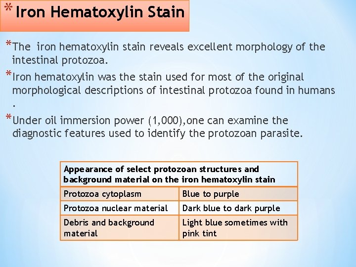 * Iron Hematoxylin Stain *The iron hematoxylin stain reveals excellent morphology of the intestinal