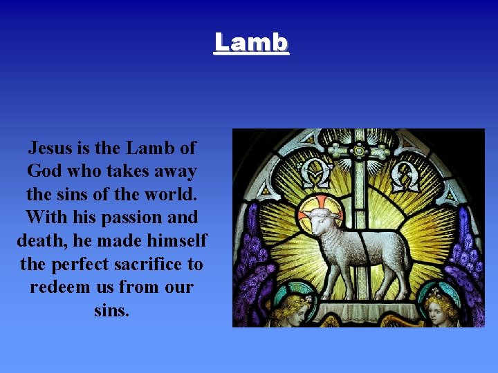 Lamb Jesus is the Lamb of God who takes away the sins of the