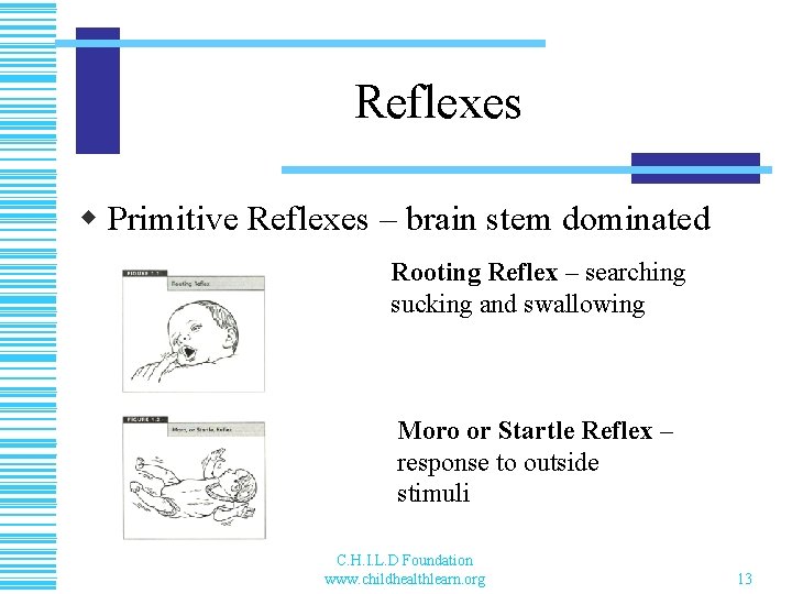 Reflexes w Primitive Reflexes – brain stem dominated Rooting Reflex – searching sucking and