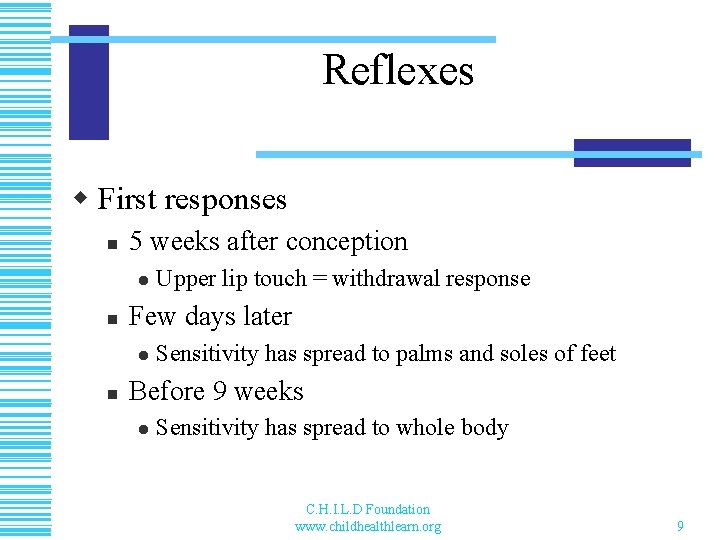 Reflexes w First responses n 5 weeks after conception l n Few days later