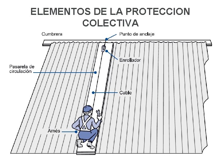 ELEMENTOS DE LA PROTECCION COLECTIVA 