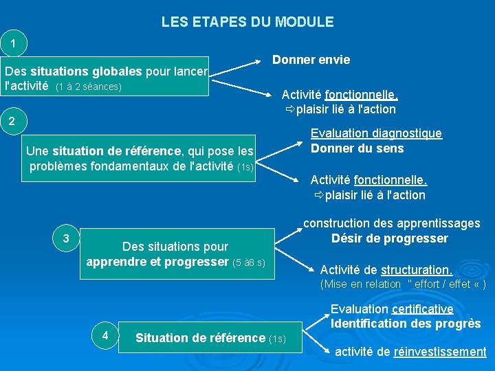 LES ETAPES DU MODULE 1 Des situations globales pour lancer l'activité (1 à 2